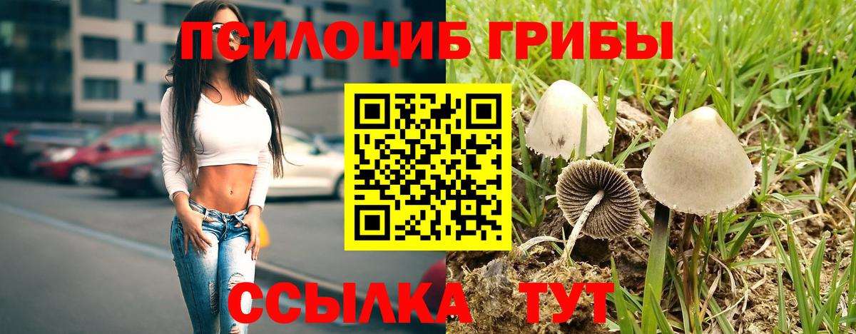 Псилоцибиновые грибы ЛСД Похвистнево