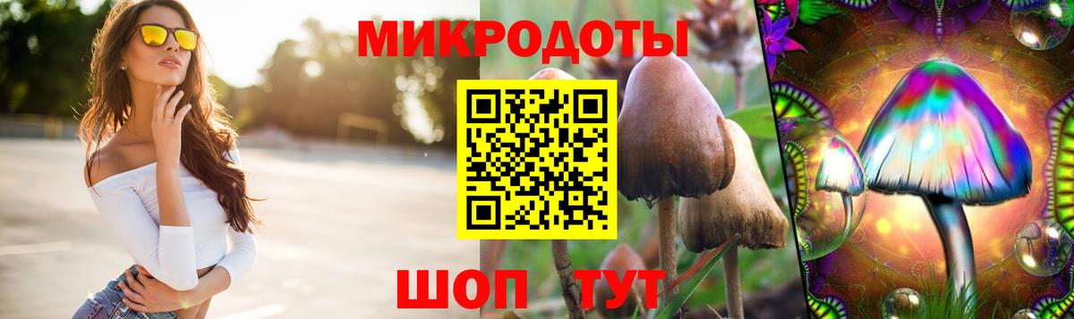 даркнет сайт  Вход с VPN  Похвистнево  Галлюциногенные грибы ЛСД 
